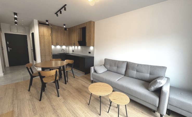 apartment for rent - Pabianice